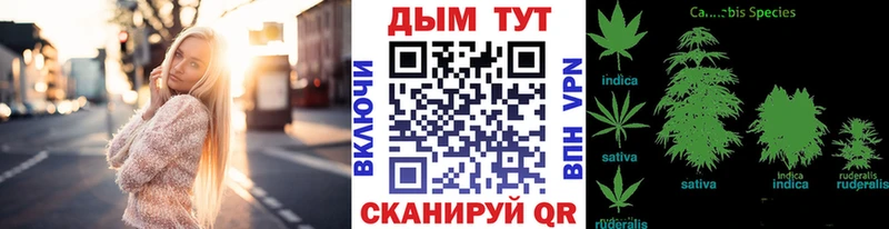 Где продают наркотики Балашов ГАШ  мега зеркало  МЕФ  СК 