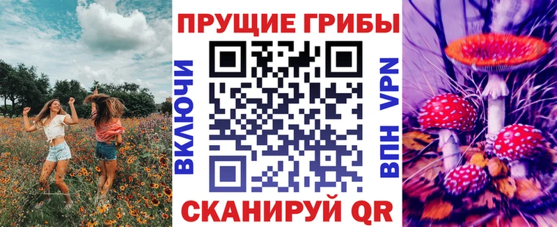купить закладку  Балашов  Псилоцибиновые грибы мицелий 