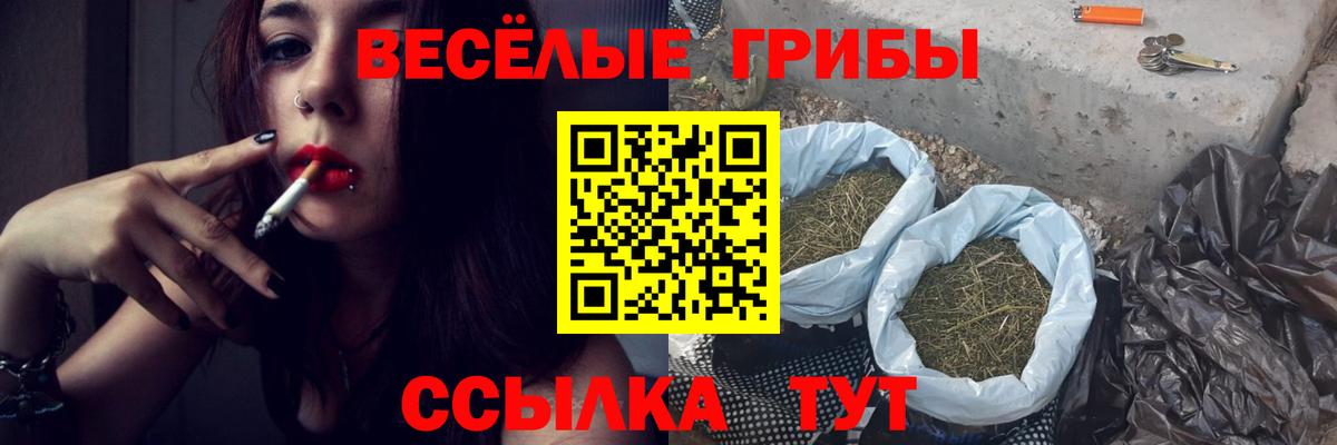 Галлюциногенные грибы Magic Shrooms Балашов
